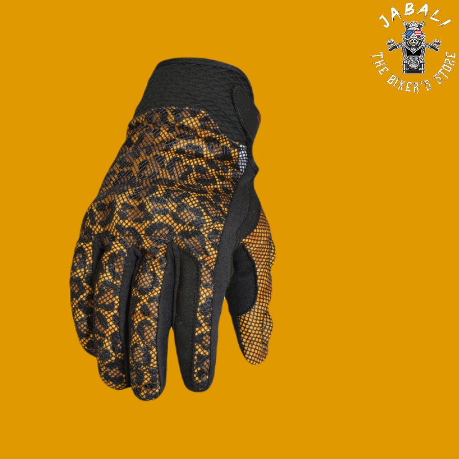 TG55HUN3 HuntingtonLeopard